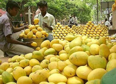Jammulapalem Agriculture