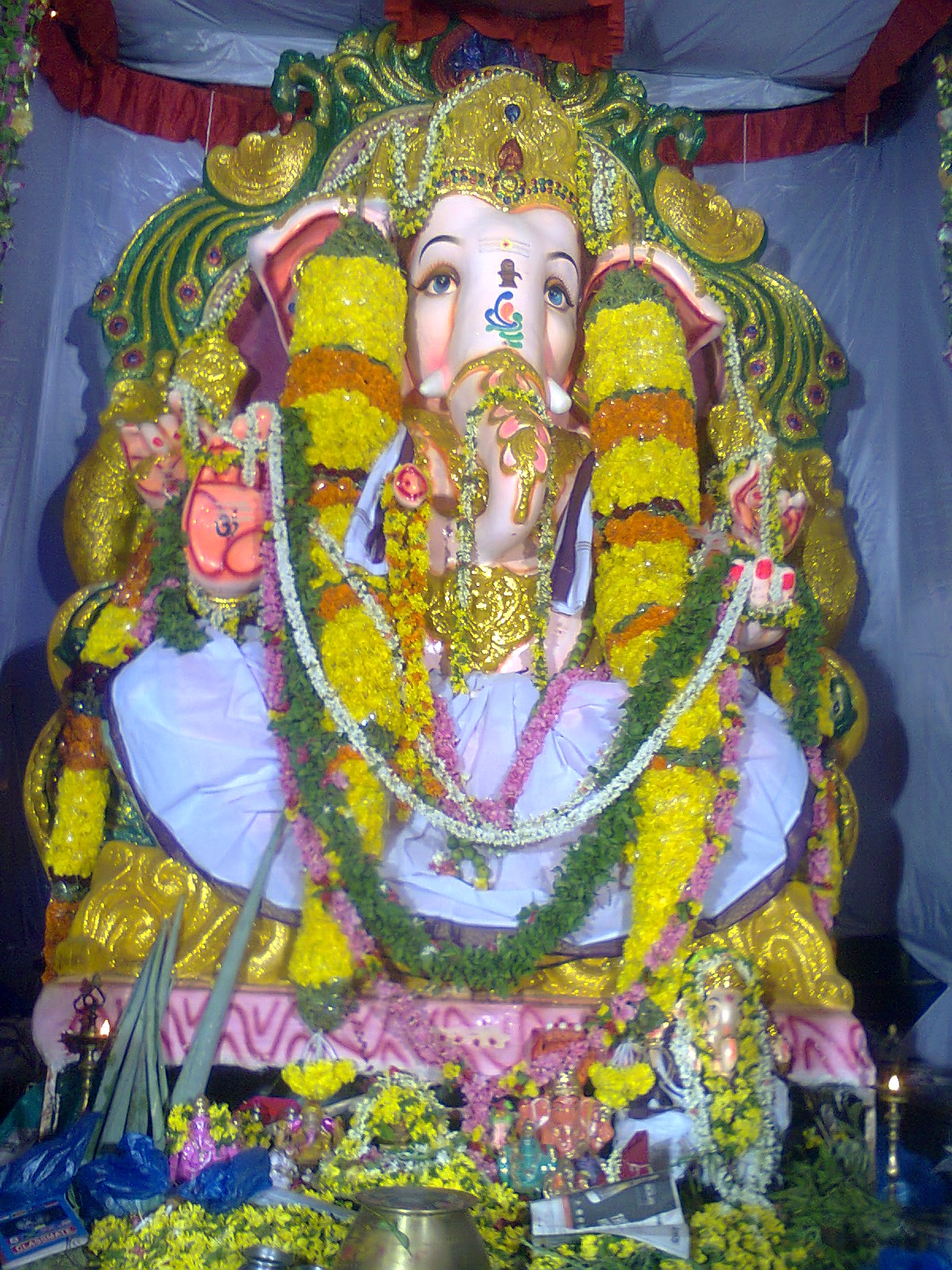 Jammulapalem