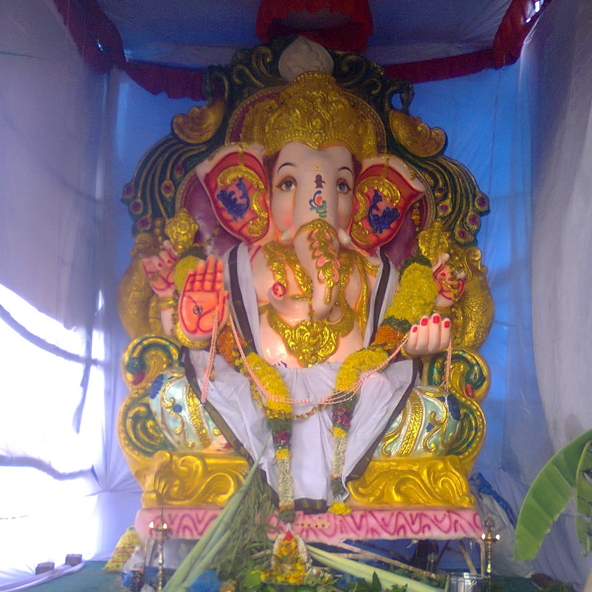 Jammulapalem
