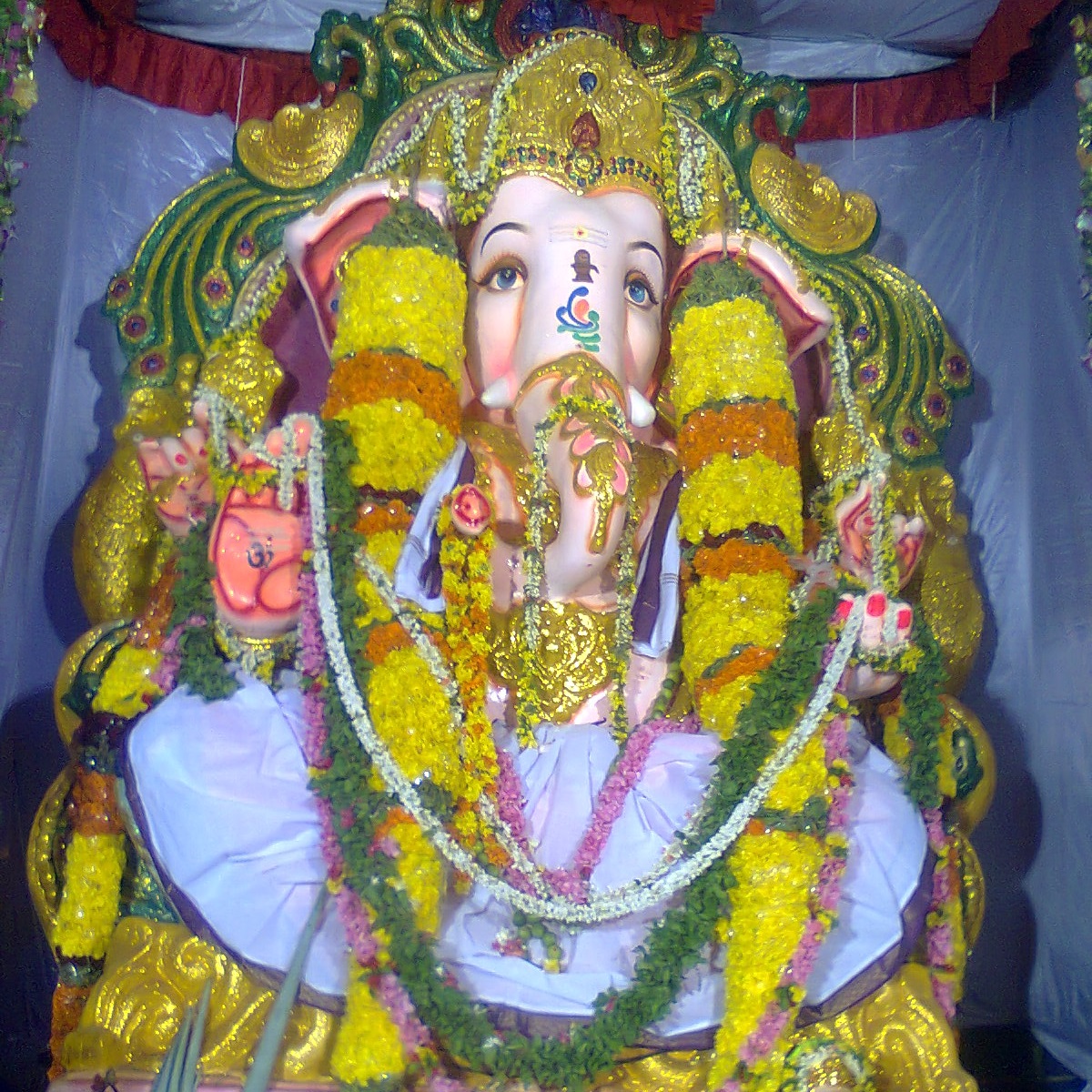 Jammulapalem