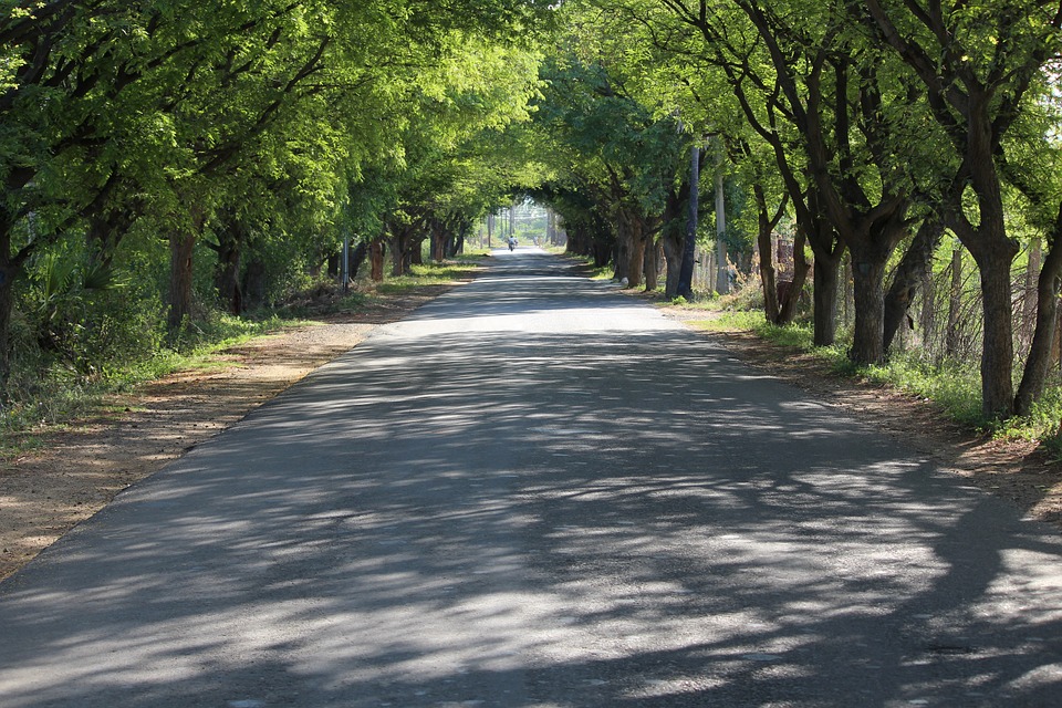 JMP Entrance
